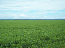 Fazenda para plantio em Palmas Tocantins